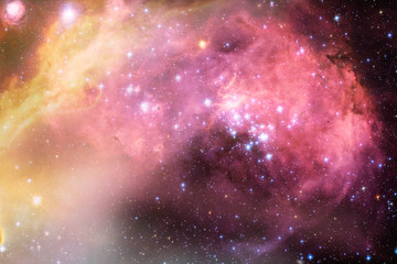 Wall Mural - infrared coronet cluster