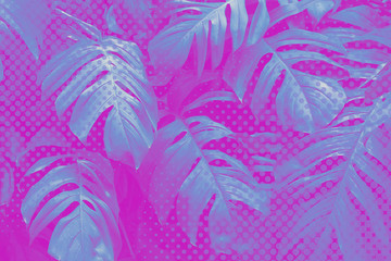 Wall Mural - pink and blue monstera leaf halftone style background illustration