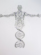Digital Composite Image Of Dna And Human Against White Background