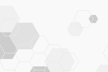 Wall Mural - gray hexagonal patterned background