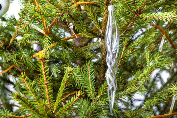 Canvas Print - glass icicle on natural christmas tree close-up indoor