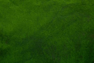 Canvas Print - grunge green concrete textured background