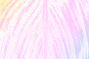 Wall Mural - purplish pink leaf textured light blue background