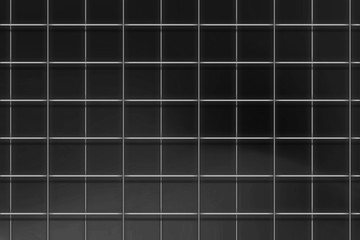 Wall Mural - gray grid line pattern on a black background
