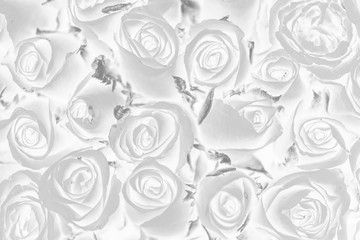 Wall Mural - negative effect floral patterned background