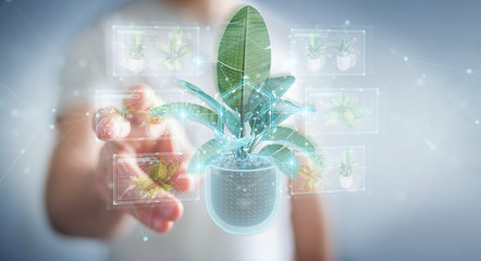 Fototapete - Man holding and touching holographic projection of a plant with digital analysis 3D rendering