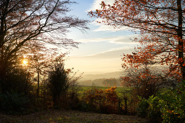 Poster - sunset over farmland and trees in autumn with golden brown leaves on the trees in england, uk.