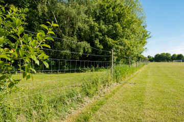 Wall Mural - Cordoned off section of a village park and green, part of a nature reserve area. A mowed village sports field and distance football goal can be seen. The field services the local village community.