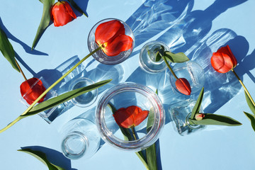 A lot of red tulips on a blue background with glassware.