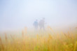 © PhotoKrat - Misty morning tracking, couple walking across colourful alpine field in fog. Isolation in the nature concept. Idyllic springtime scenery in blooming meadow on Apennine Peninsula. secure distance