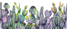 Seamless Border With Colorful Cactus Plants.