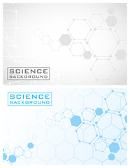 Wall Mural - two colors science backgrounds with lines structures