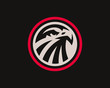 Eagle modern logo. Eagle design emblem template for a sport and eSport team.