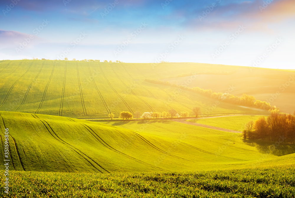 Tranquil rural landscape in sunbeams. Location place of South Moravia, Czech Republic, Europe. - obrazy, fototapety, plakaty 