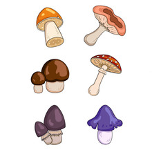 Vector Edible And Non Edible Mushroom Collection. Cartoon Style Template For Design. Bright And Colorful
