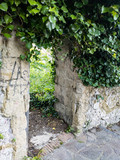 Fototapeta Natura - Abandoned stone door frame is covered in wild vegetation in a village in southern Italy