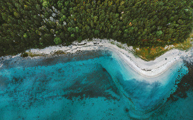 Wall Mural - Aerial view ocean sandy beach and coniferous forest drone landscape in Norway above trees and blue sea water scandinavian nature wilderness top down scenery