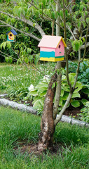 Two colorful birdhouses hanging from tree in front yard.  