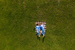 © F8  \ Suport Ukraine - Young couple lying on the grass and looking up in the park. Top view on the lying couple from above