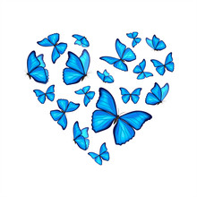 Blue Morpho Butterflies Fly On White Background. Vector Illustration. Decorative Print.