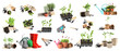 Set of different seedlings and gardening tools on white background. Banner design