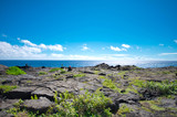 Fototapeta Desenie - カラエ岬（サウス・ポイント）周辺の景色　ハワイ島　ハワイ・ボルケーノズ・ナショナル・パーク