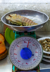 Wall Mural - Oriental slipper lobster Thenus orientalis flathead lobster or crayfish weighed for a customer in Singapore hawker stall