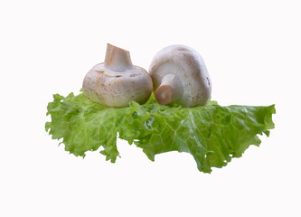 two mushrooms on a lettuce leaf, white insulated background