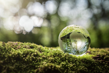 Environment conservation concept. Close up of glass globe in the forest with copy space