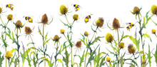 Seamless Banner With Wild Thistle Plants And Bumblebees.