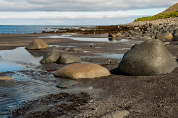 Wall Mural - rocks on the beach