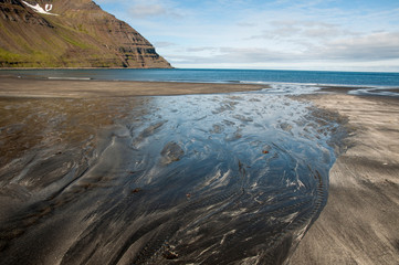 Wall Mural - beach and rock with low water