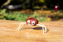 Funny Spider Shape Character Or Figurine Made With Chestnuts On A Wooden Background In A Sunny Day