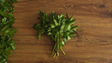 Fototapeta Kuchnia - Food background with fresh spring lovage leaves