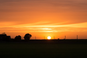 Wall Mural - the sun sinks unobstructed below the horizon of the dutch landscape