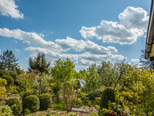 Spring In The Garden, Panorama Of Trees With Cumulus Clouds Above Them