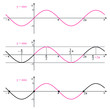 Graph of the function sine on a white background. Graphic presentation for math teachers.