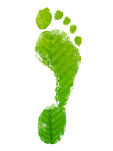 Ecological Footprint Concept Leaf Logo Design