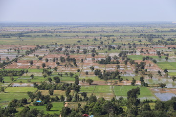 Wall Mural - Rizières à Battambang, Cambodge	