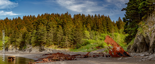 Cuadros en Lienzo Kodiak, Alaska beach shipwreck - Rusty pirate shipwreck