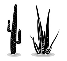 Black Silhouettes Of Cacti, Succulents, Aloes. Vector Illustration Isolated On A White Background. Cactus Icons. Mexican Desert Cactus, Tropical Plants, Summer Garden. Decorated Cacti Drawn By Hand