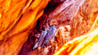 Two Great Horned Owls resting on the Red Navajo Sandstone walls of Owl Canyon, one of the famous Slot Canyons in the Navajo lands near Page Arizona, United States