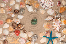 Green Shell Lies In The Center Of A Circle Of Sand, Among Sea Shells And Starfish. Copy Space.