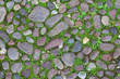 © sergiotrentino - stone texture road with green grass