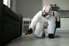 Disinfection Of Premises Against Insects And Rodents By Chemical Means, A Sanitary Worker With A Spray On The Background Of The Apartment