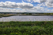 Shapwick Heath National Nature Reserve in Somerset in England