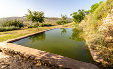 A Pool Of Water That Fills From A Spring Called "ein Lavan" In The Mountains Of Jerusalem, Empty Because Of The Corona Virus