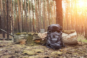 Tourist backpack, metal mug in the forest. Concept of a hiking trip to the forest or mountains