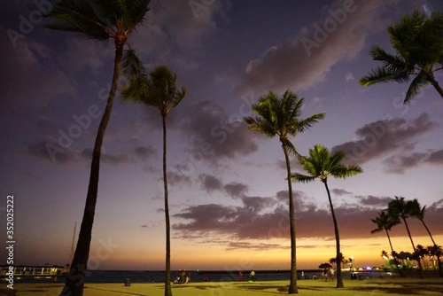 Obraz Dibond Palm Trees By Sea Against Sky During Sunset