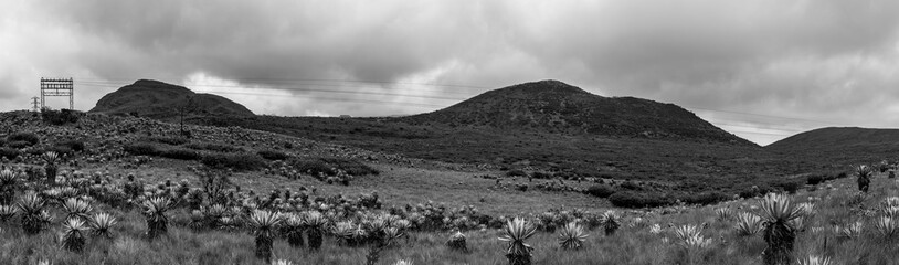 Landscape of Chingaza, 2